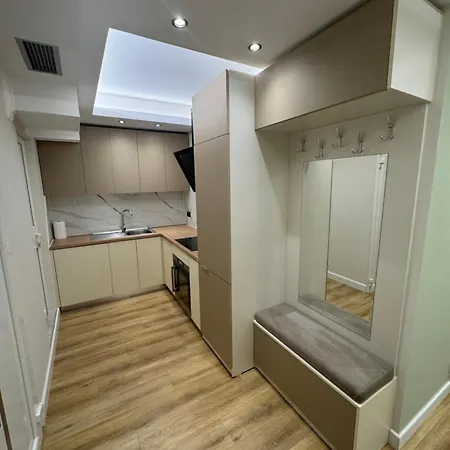 Luxury Apartment *