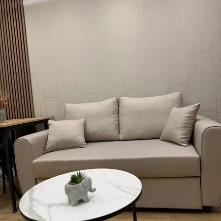 Luxury Apartment